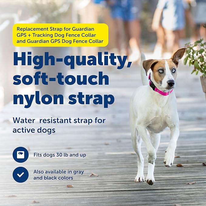 PetSafe Replacement Strap for Guardian GPS + Tracking Dog Fence Collar, Made with Soft-Touch Nylon for Enhanced Comfort and Long-Lasting Wear - Water-Wicking, Waterproof Material, Pink