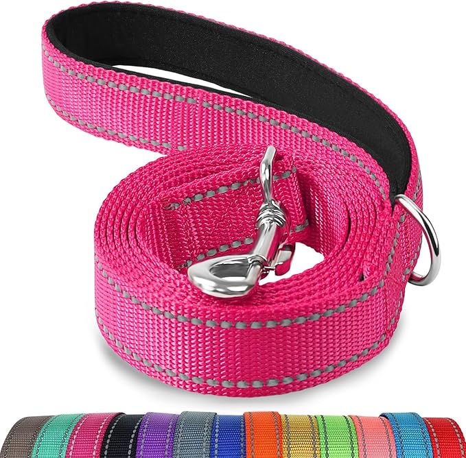 Joytale Dog Leash, 4 FT Double-Sided Reflective, Padded Handle Nylon Heavy Duty Leashes for Small Dogs Walking, Hotpink