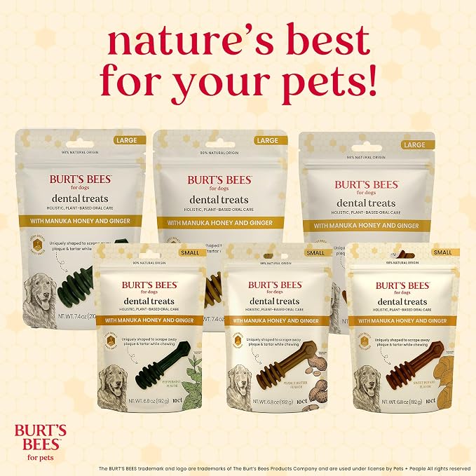 BURT'S BEES FOR PETS Dental Treats for Dogs with Manuka Honey & Ginger, 98% Natural Origin, Holistic Oral Care, Freshens Breath, Peanut Butter Flavor, Small Size, 10 ct, 6.8 Oz