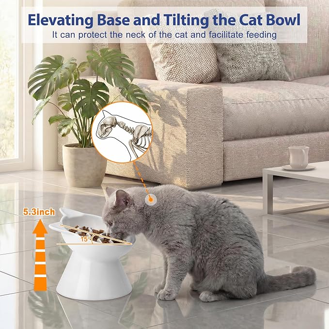 Ceramic Slow Feeder Cat Bowl, 2 Cups Tilted Elevated Cat Slow Feeder Bowl for Dry and Wet Food, Honeycomb Design for Preventing Vomiting & Bloating (White-Cute Kitten)