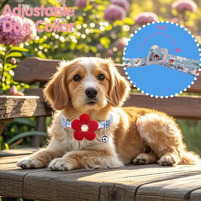 Small Dog Collar with Flower, Spring Dog Collar for Girl Dog Collars for Small Dogs Cute Dog Collar with Bell, Adjustable Length