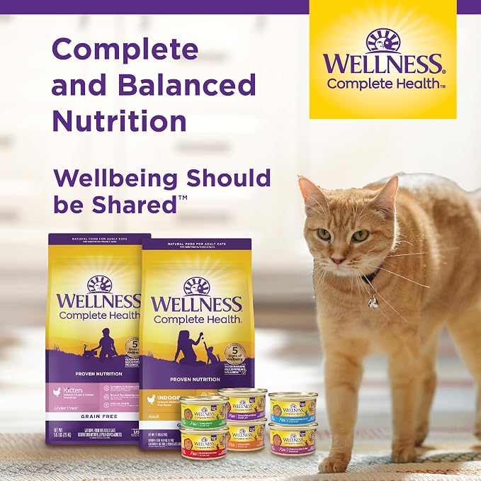 Wellness Complete Health Pate Adult Canned Wet Cat Food, Natural, Protein Rich, Grain Free, Chicken and Lobster Dinner Recipe, 5.5 oz, Pack of 24 Cans