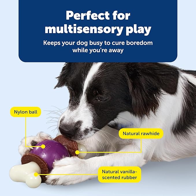 PetSafe Busy Buddy Bouncy Bone, Treat Holding Dog Toy, Medium, Best for Dogs 10-50 Lb.