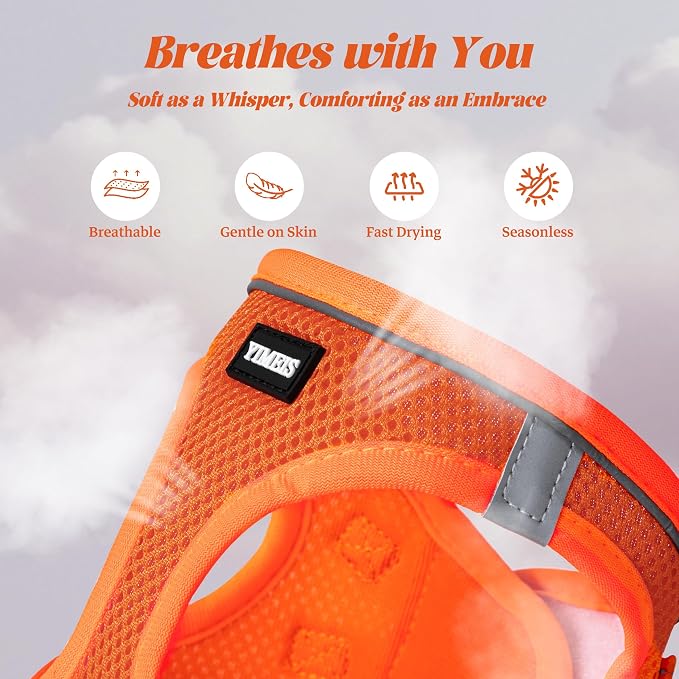 YIMEIS Dog Harness and Leash Set, No Pull Soft Mesh Pet Harness, Reflective Adjustable Puppy Vest for Small Medium Large Dogs, Cats (Orange01, Medium (Pack of 1)