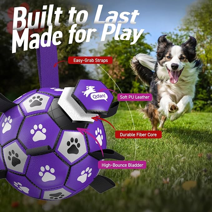 QDAN Soccer Ball for Dogs - Durable Large Dog Balls, Outdoor & Water Toy, Herding Ball, Puppy Birthday Gift (8 Inch)