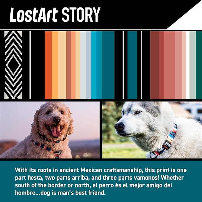 Wolfgang Heavy Duty, Adjustable Dog Collar with Quick Release Nylon Buckle for Walking & Training, LostArt Print, Large