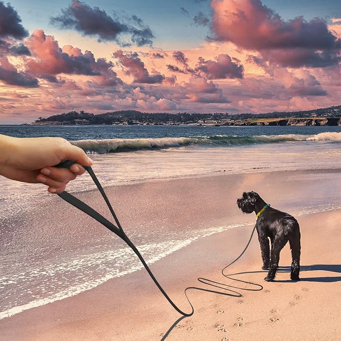 Wolfone 20ft Black Long Leash - Waterproof Training Dog Leash for Recall, Swimming, Camping, Beach, Hunting, Walking