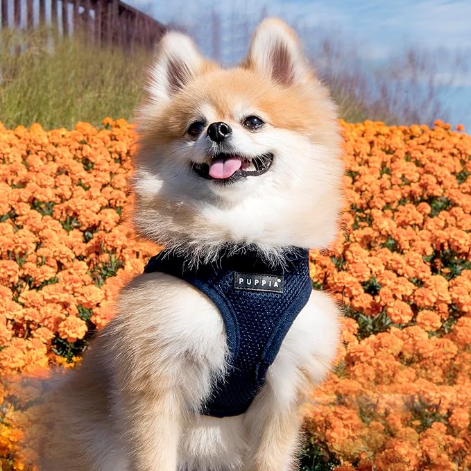 PUPPIA International PUAH305NYXL Soft Harness B Vest, X-Large,Navy