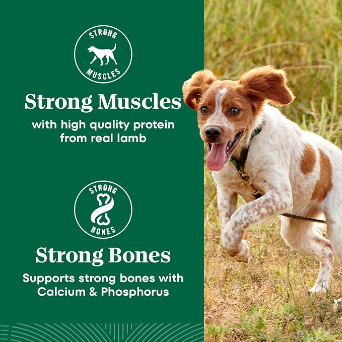 Nutro Natural Choice Small Bites Dry Dog Food, Adult Dog Food Dry Lamb & Brown Rice Recipe, 5 lbs.
