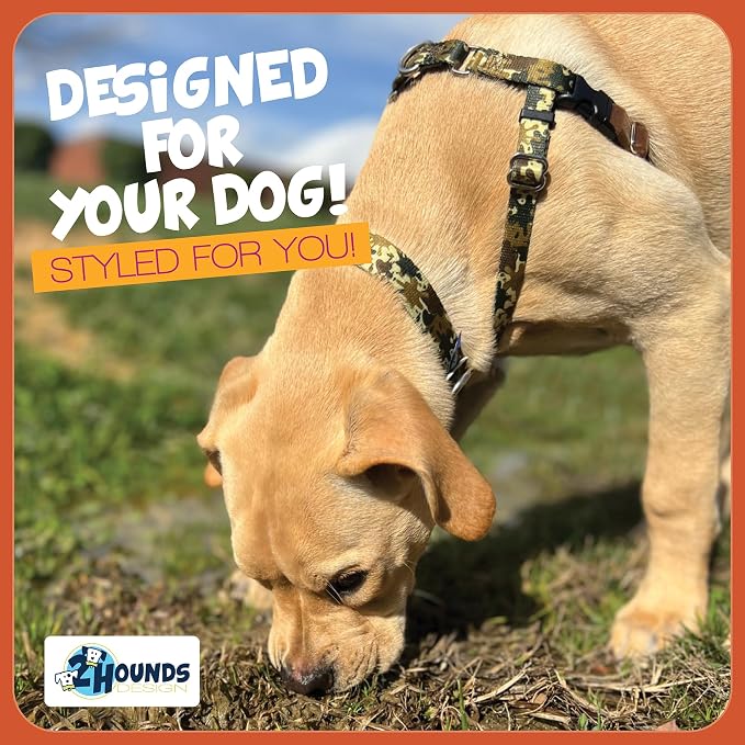 2 Hounds Design - Freedom No-Pull Harness & Training Leash in Green Mud | Dual Leash Loops, No Pulling on Walks | Lined to Prevent Chaffing | for Large Sized Dogs (Size L, Chest 28”- 32”)