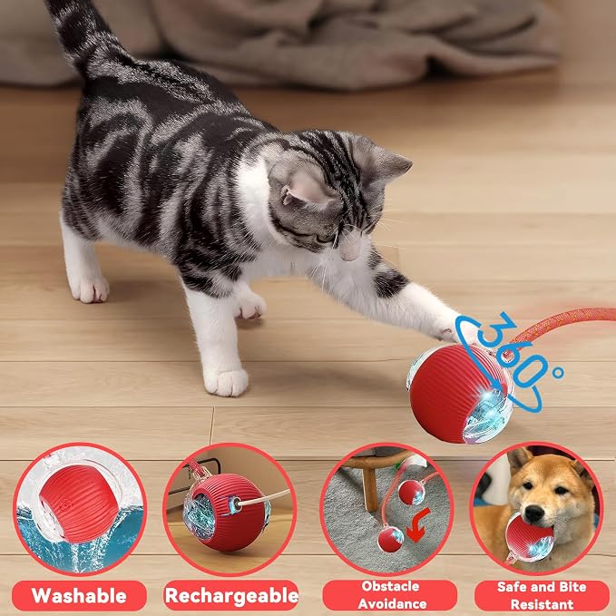 Valentines Day Gifts Speedy 2.0 Tail Interactive Cat Toys for Indoor Cats, Automatic Cat Toy with Elastic Mesh Tail, Electric Rolling Ball on Carpet, Chirping and Motion Activate Cat