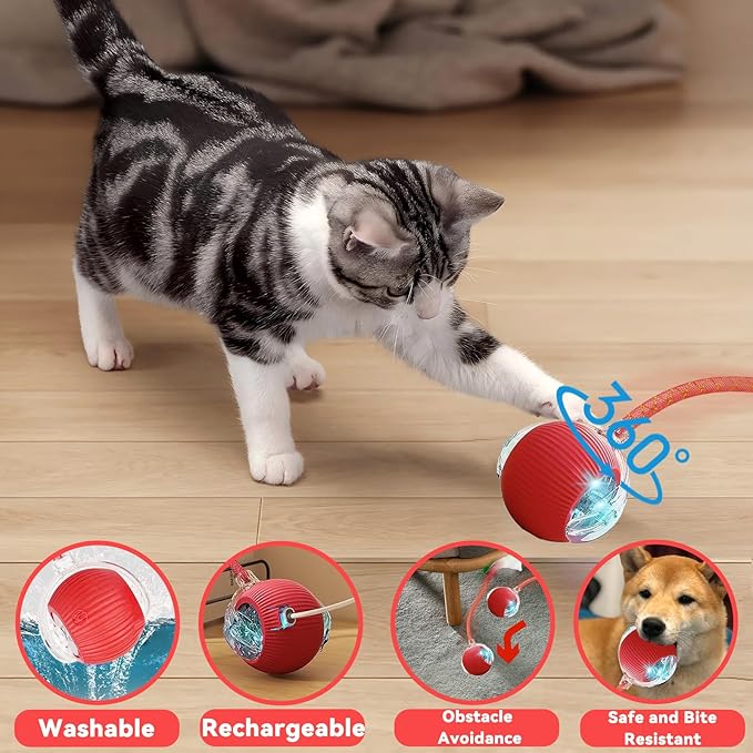 Speedy 2.0 Tail Interactive Cat Toys for Indoor Cats, Automatic Cat Toy with Elastic Mesh Tail, Electric Rolling Ball on Carpet, Chirping and Motion Activate Cat