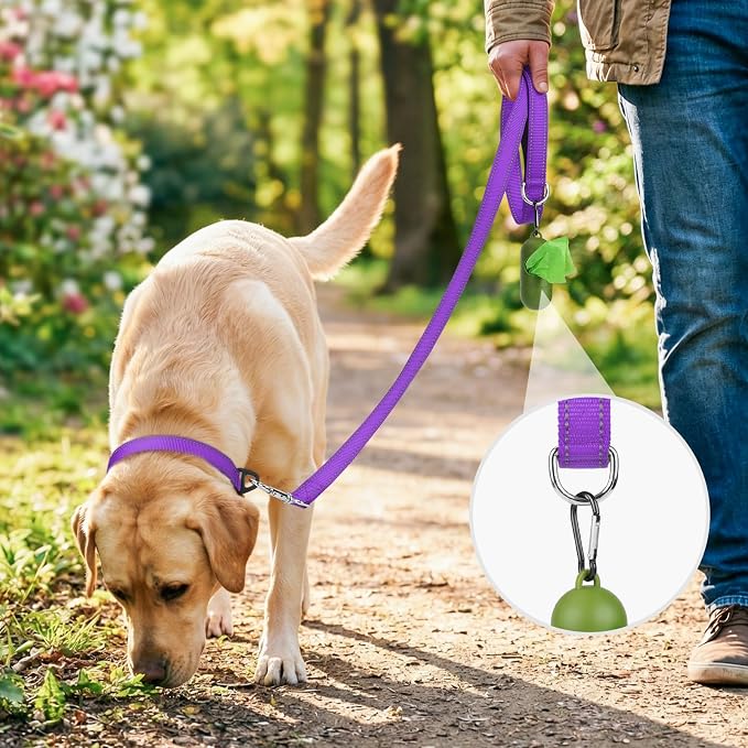 Joytale Dog Leash, 5 FT Double-Sided Reflective, Padded Handle Nylon Heavy Duty Leashes for Medium & Large Dogs Walking, Purple