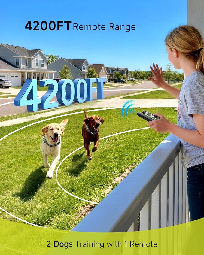 Shock Collar for 2 Dogs (10-120lbs) - 4200FT Dog Training Collar with Remote, IPX8 Waterproof Electric Collar with 4 Training Modes, Rechargeable E-Collar for Large Medium Small Breeds