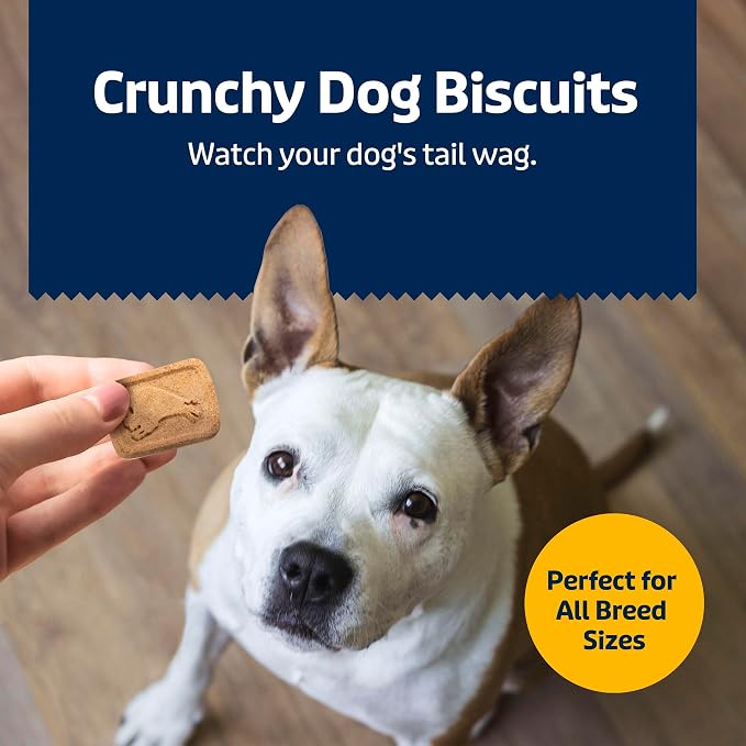 Blue Buffalo Health Bars Bananas & Yogurt Crunchy Dog Biscuits, Oven-Baked with Real Bananas & Natural Ingredients, Healthy Dog Treats with No Artificial Flavors or Preservatives, 16 oz.
