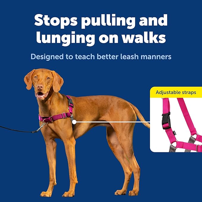 PetSafe Easy Walk No-Pull Dog Harness - Ultimate Harness to Help Stop Pulling - Pull-Free Walks - Take Control & Teach Better Leash Manners - Patented Martingale Loop Design - Raspberry, Medium