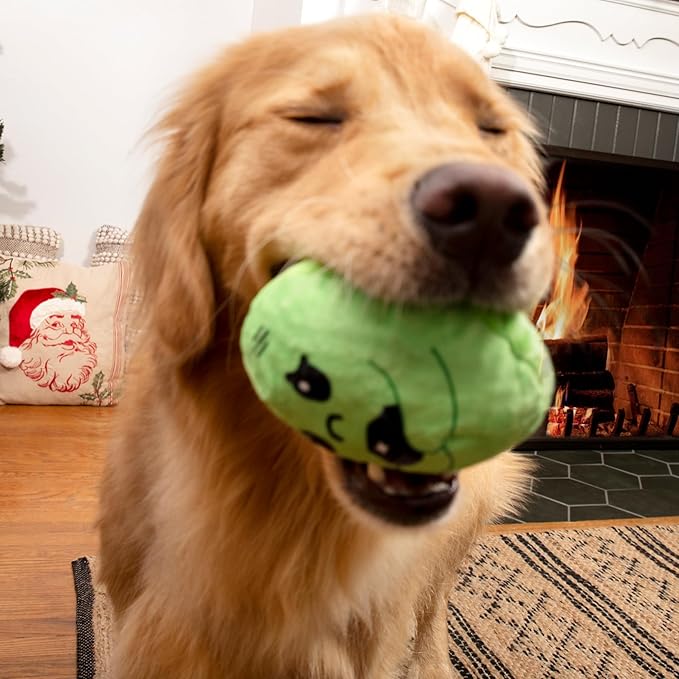 Barkbox Consuela the Christmas Cactus 2-in-1 Interactive Plush Dog Toy - Squeaky Dog Chew Toy with Whip and Flip Arms - for Medium to Large Dogs and Puppies