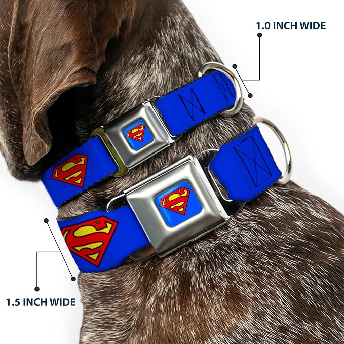 Buckle-Down Dog Collar Seatbelt Buckle Superman Shield Blue 9 to 15 Inches 1.0 Inch Wide, Multi Color (DC-WSM001-S)