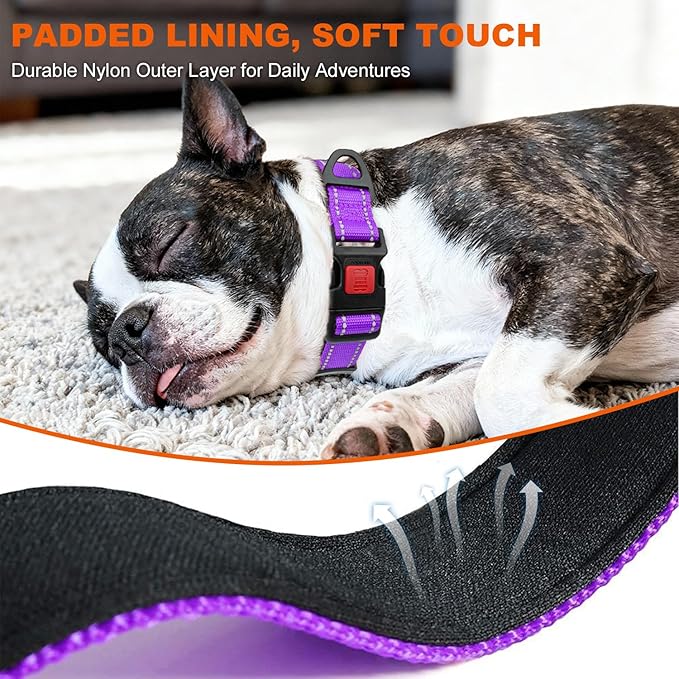 Taglory Reflective Dog Collar for Medium Dogs, Soft Neoprene Padded with Escape-Proof Locking Buckle, Upgraded Zinc Alloy Ring, Adjustable for Walking Female Male, Purple,M