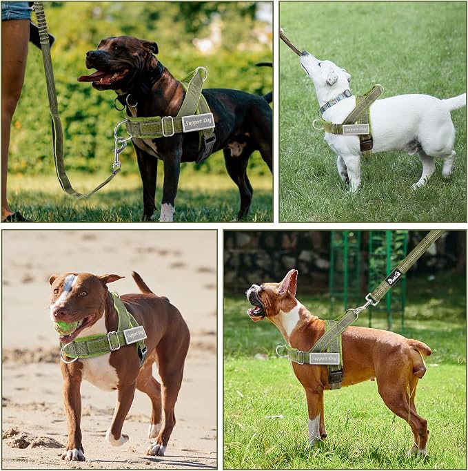 SlowTon No Pull Dog Harness - Heavy Duty Dog Harness and Leash Set for Medium Large Dogs, Reflective Tactical Harness with Soft Padded and Front Clip for Easy Walk and Training (Green, L)