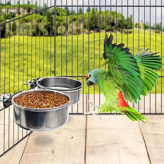 PINVNBY 2pcs Stainless Steel Bird Bowl Feeding Dish Cups for Parrot, Parakeet, African Greys, Conure, Cockatiels, Lovebird, Budgie, Chinchilla (L)