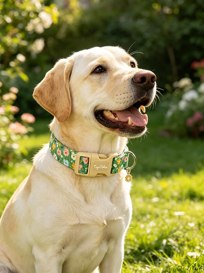 Dog Collars for Small Dogs, Summer Dog Collar with Floral Patterns, Green Dog Collar with Pendant, Adjustable Soft Collars Floral Dog Collar Pet Collar Dog for Puppy Small Dogs S