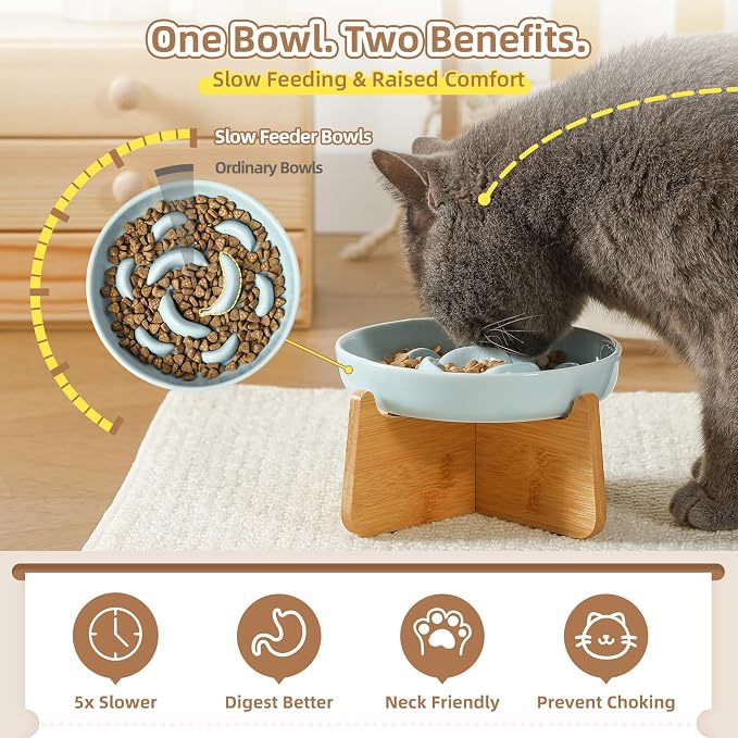Elevated Slow Feeder Cat Bowl - Ceramic Cat Food Dish with Anti-Slip Bamboo Stand - Whisker Friendly Feeding Bowl - Raised Maze Plate for Slow Down Eating - Mint Green