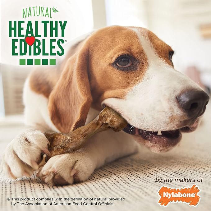 Nylabone Healthy Edibles WILD Natural Dog Bones Long Lasting, Bison Flavor Bone Dog Treats, Medium (2 Count)