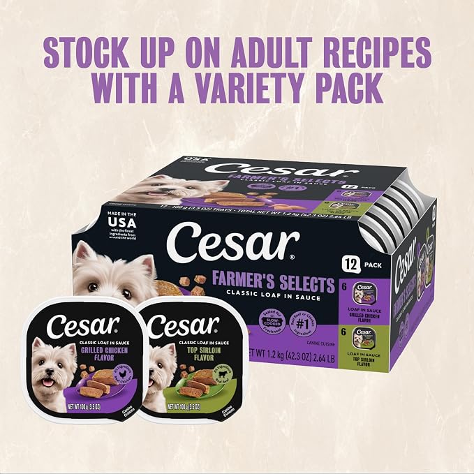 Cesar Classic Loaf in Sauce Adult Wet Dog Food, Grilled Chicken Flavor and Top Sirloin Flavor, 3.5 oz. Easy Peel Trays, Variety Pack (12 Count, Pack of 2)