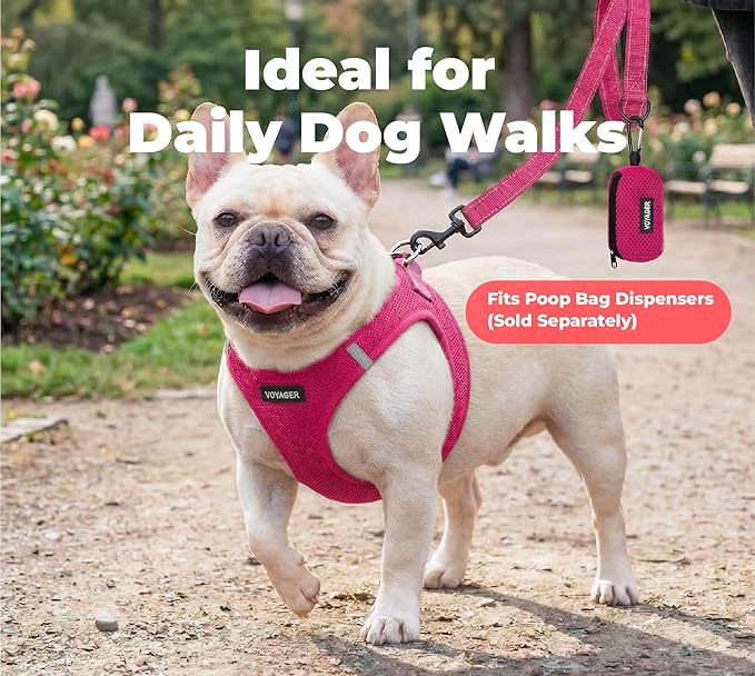 Best Pet Supplies Voyager Reflective Dog Leash or Collar with Neoprene Handle, for Small, Medium, and Large Breed Puppies, Cute and Heavy Duty for Walking, Running and Training - Fuchsia (Leash), S