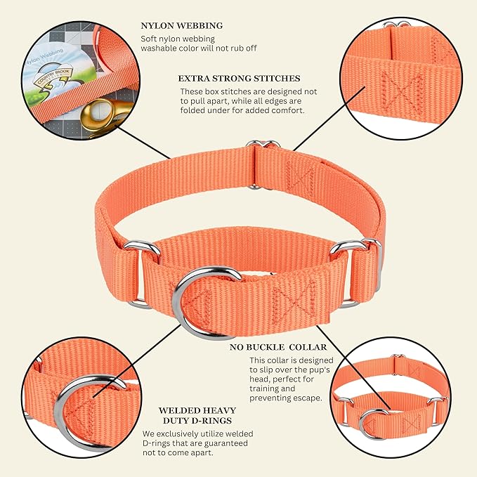 Country Brook Petz - Martingale Dog Collar - Heavy-Duty Training Collar with No Buckle - Service Dog Collar for All Pups - 20 Vibrant Colors (Mango, 1 Inch, Large)