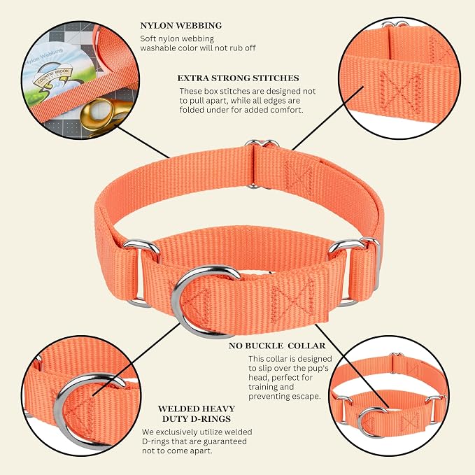 Country Brook Petz - Martingale Dog Collar - Heavy-Duty Training Collar with No Buckle - Service Dog Collar for All Pups - 20 Vibrant Colors (Mango, 5/8 Inch, Extra Small)