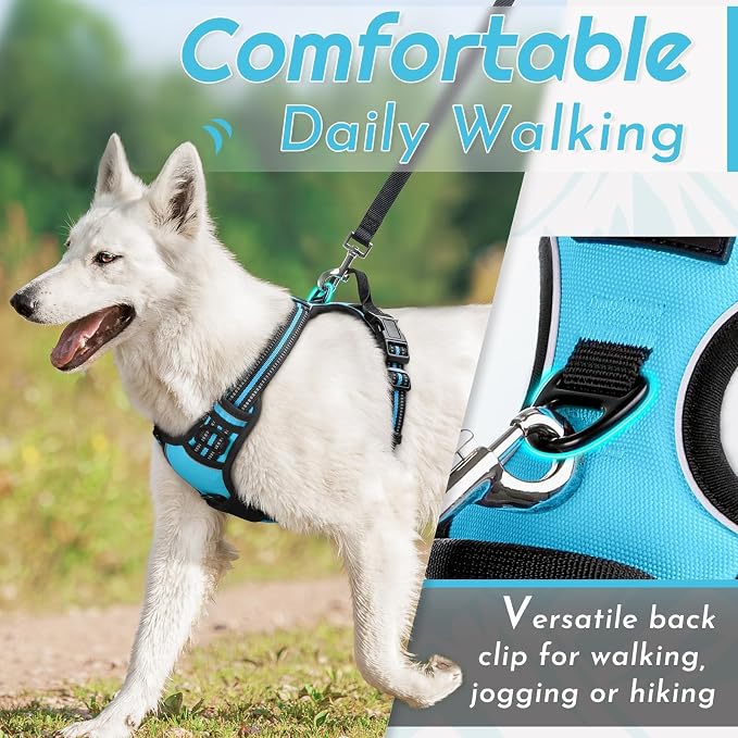 Eagloo Dog Harness Small Sized Dog, No Pull Service Vest with Reflective Strips and Control Handle, Adjustable and Comfortable for Walking, No Choke Pet Harness with 2 Metal Rings, Sky Blue, S
