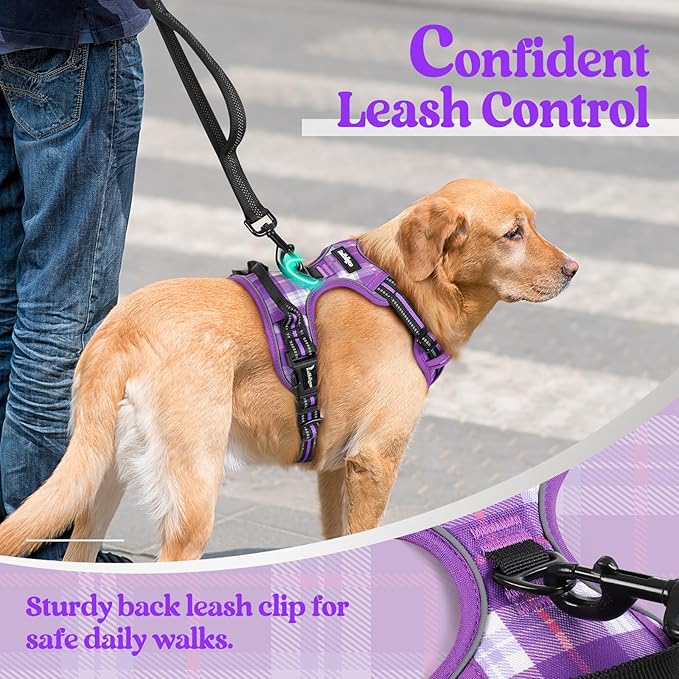 rabbitgoo Dog Harness No Pull with 2 Leash Clips, Adjustable Soft Padded, Reflective Oxford No Choke Pet Vest with Easy Control Handle for Small Dogs, Purple Plaid, S
