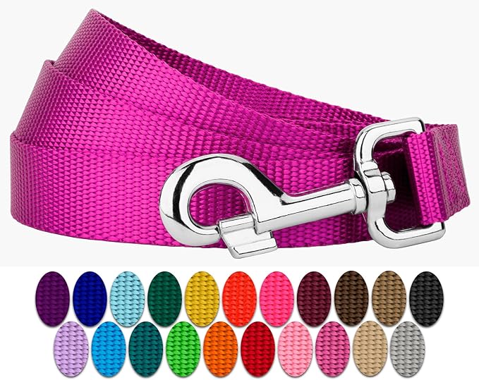 Country Brook Petz - Everyday Nylon Dog Leash - Strong, Durable, Solid Color Leash with Easy to Use Snap - 25+ Colors (1 Inch Wide, 4 Foot, Fuchsia)