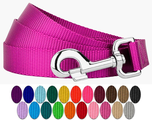 Country Brook Petz - Everyday Nylon Dog Leash - Strong, Durable, Solid Color Leash with Easy to Use Snap - 25+ Colors (1 Inch Wide, 6 Foot, Fuchsia)