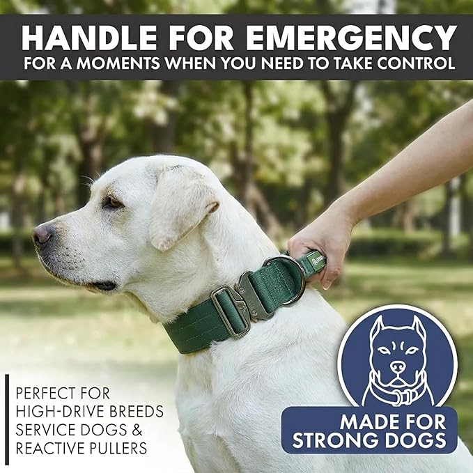 Spark Paws Tactical Dog Collar - Heavy Duty, Premium Quality, Thick and Durable for Large and Medium Dogs - Solid Green - M