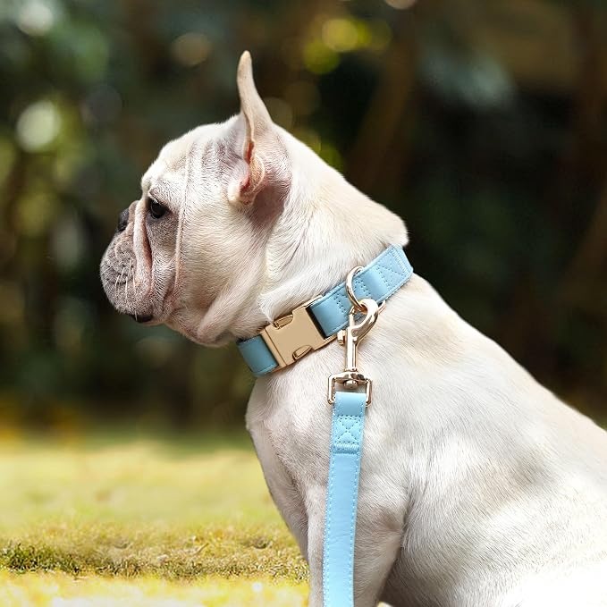 PET ARTIST Soft PU Leather Dog Collar for Small Dogs, Bright & Classic Nylon Padded Durable Dog Collar Leather with Quick Release Metal Buckle Adjustable for Male Dogs, Neck Fit 9-14"