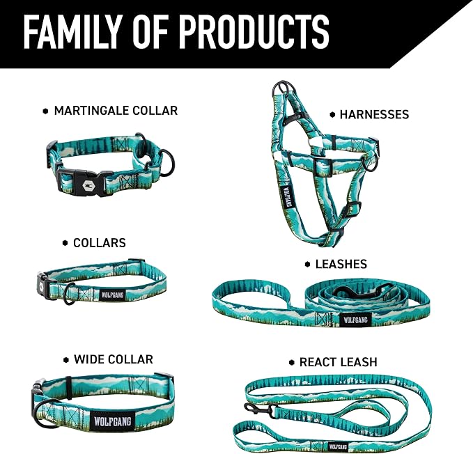 Wolfgang Heavy Duty, Adjustable Dog Collar with Quick Release Nylon Buckle for Walking & Training, GreatEscape Print, Medium