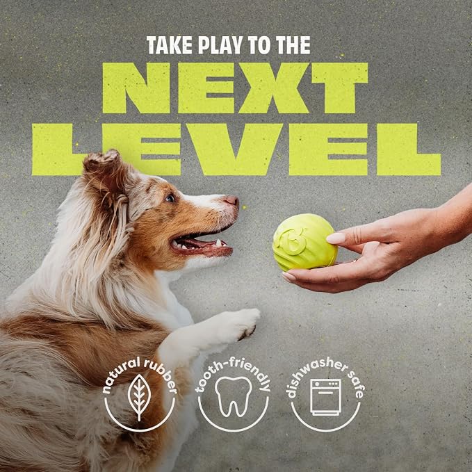 Benebone Natural Rubber Dog Ball