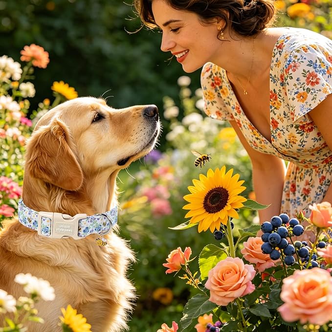 Unique style paws Dog Collar Plastic Buckle with Pendant Puppy Collar for Spring Summer Blueberry Bee for Small Medium Large Boys Girls Dogs