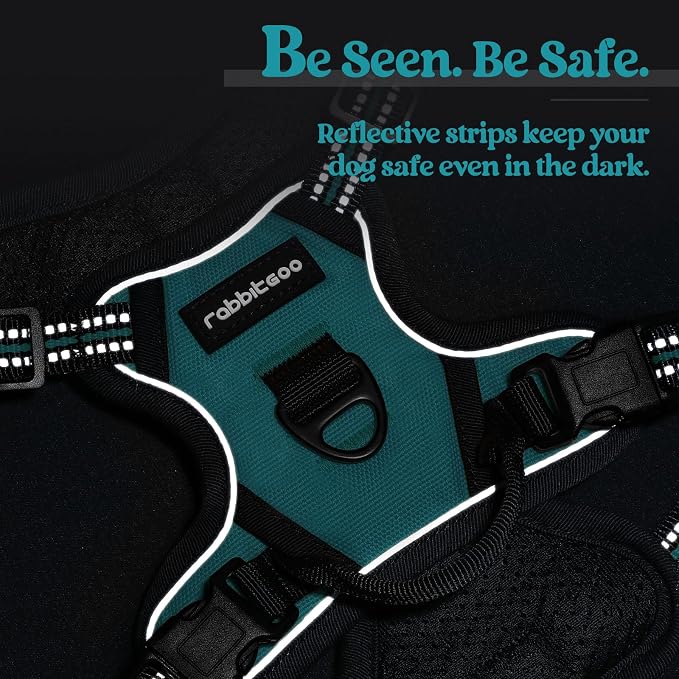 rabbitgoo Dog Harness No Pull with 2 Leash Clips, Adjustable Soft Padded, Reflective Oxford No Choke Pet Vest with Easy Control Handle for Puppy, Teal, XS