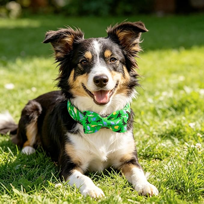 Elegant little tail Boy Dog Collar, Dinosaurs Pet Collars with Bow for Small Dogs, Sturdy Metal Buckle Soft Cotton Bowtie Fabric Summer Adjusatble Dog Collar for Small Dogs