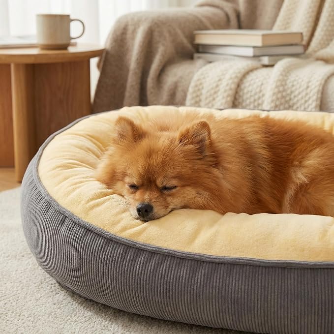 Calming Dog Bed for Medium to Large Dogs 30"x21" - Orthopedic Washable Pet Bed with Anti-Slip Bottom, Indoor Soft Cat Bed with Removable Cover (Beige)