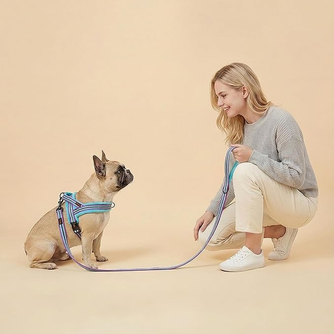 Didog Soft Flannel Padded Dog Vest Harness, No Pull/Quick Fit Reflective Dog Strap Harness, Easy for Training Walking (XS:Chest 15-18", Mixed-Blue)