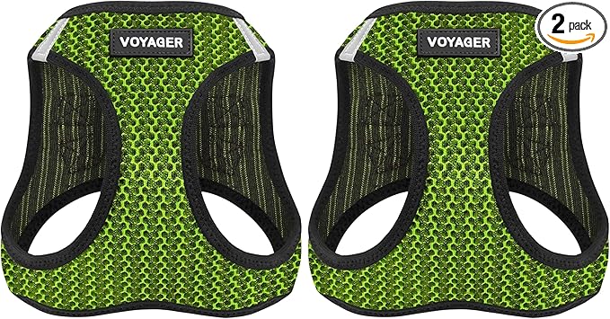 Voyager Step-in Air Dog Harness - All Weather Mesh, Reflective, No Pull Harness for Small, Medium Dogs, Cats - Secure with Hook & Loop Fastener, Buckle, Double D-Rings - Lime Green 2-Tone, XS