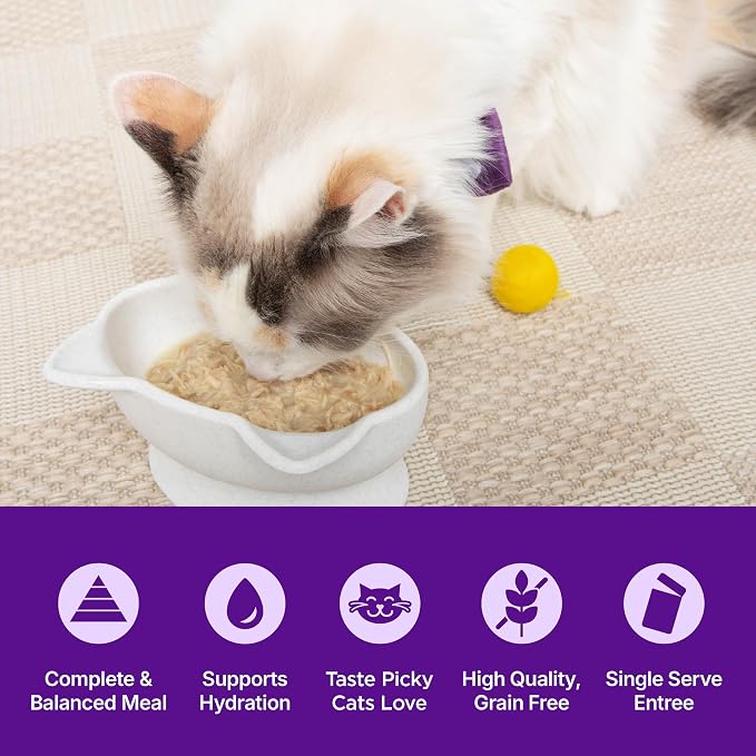 Wellness Appetizing Entrées Shredded Adult Wet Cat Food, Natural, Protein Rich, Grain Free, Chicken and Duck Recipe, 1.4 oz, Pack of 8 Pouches