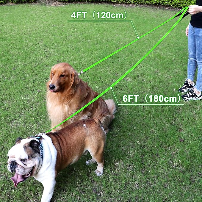 FunTags 4FT Green Reflective Dog Leash for Medium & Small Dogs Training, Soft Padded Handle Comfortable Grip, Heavy Duty Nylon, Reflective for Night Walking, 3/4in Wide