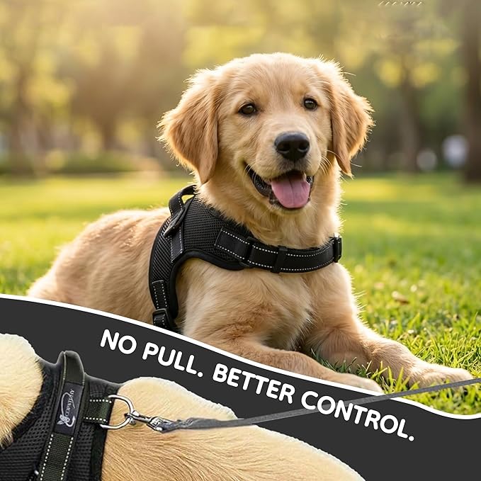 No Pull Reflective Adjustable Dog Harness with Handle- Comfortable Soft All Weather Mesh, Easy On Puppy Harness for Small Medium and Large Dogs (Black) Medium