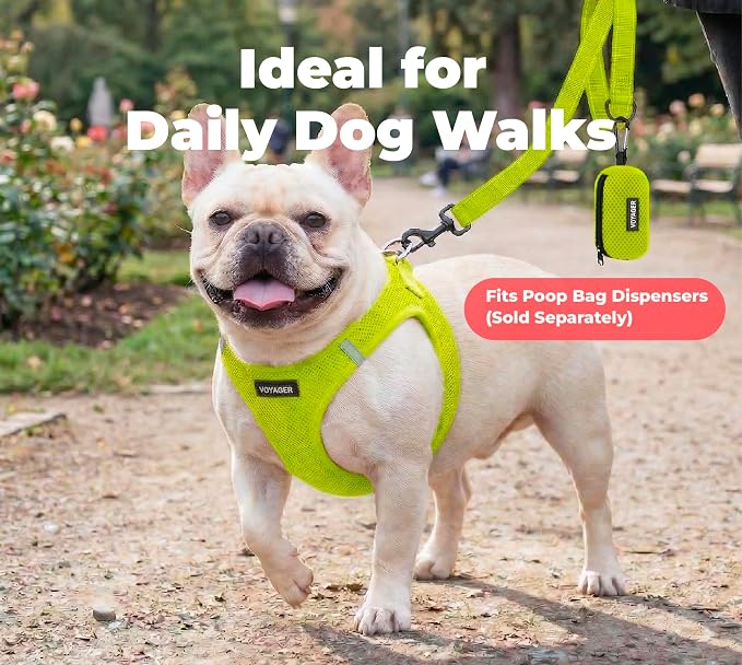 Best Pet Supplies Voyager Reflective Dog Leash or Collar with Neoprene Handle, for Small, Medium, and Large Breed Puppies, Cute and Heavy Duty for Walking, Running and Training - Lime Green (Leash), S